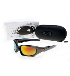 Oakley Glasses-0034