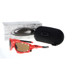 Oakley Glasses-0601