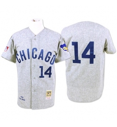 Men's Mitchell and Ness Chicago Cubs #14 Ernie Banks Authentic Grey Throwback MLB Jersey